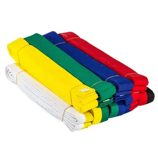 PROTECT TKD BELT