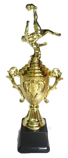 FOOTBALL TROFFEE WINNER